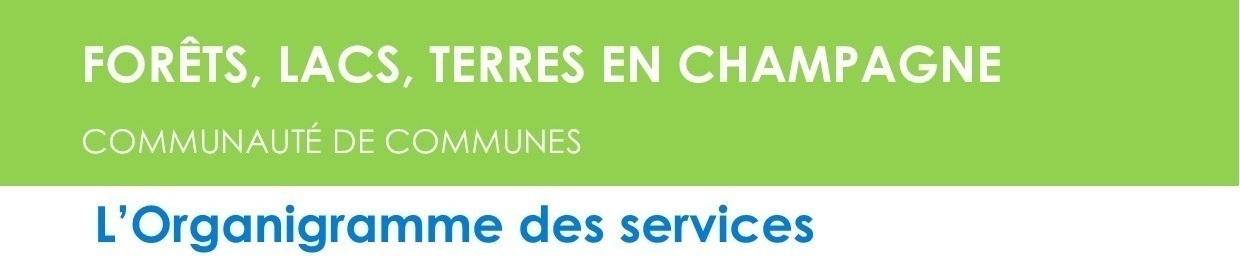 bandeau organigramme